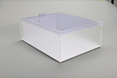 ハチクラ監修 プレミアムレプタイルケース 400×300×150mmサイズ