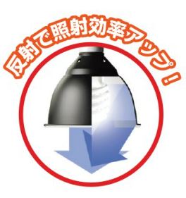 ライトドームソケット14㎝ 〔ｴｷｿﾞﾃﾗ〕 | 爬虫類倶楽部