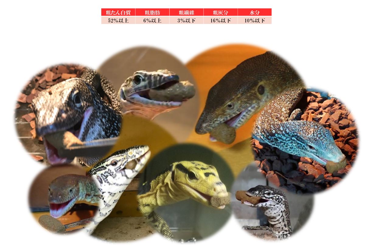 Monitor Feed 【500g】〔RepFeedJapan〕 | 爬虫類倶楽部