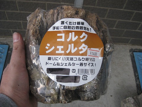 棚キノコ 付コルクシェルターM　※ドラミン コルクシェルター 【Mサイズ】 | 爬虫類倶楽部