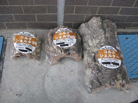 ドラミン】棚キノコ 付コルクシェルターM ③④ 棚キノコ 付コルク