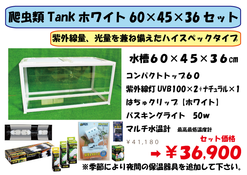 ホワイトタンク飼育セット 【60×45×36】 | 爬虫類倶楽部