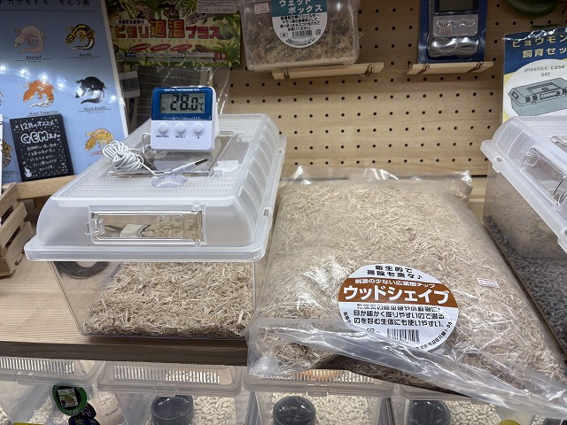 ﾍﾋﾞ飼育ｾｯﾄ【ﾌﾟﾗｹｰｽｾｯﾄ】『ﾊﾟﾈﾙﾋｰﾀｰ付』【大宮店仕様】 | 爬虫類倶楽部