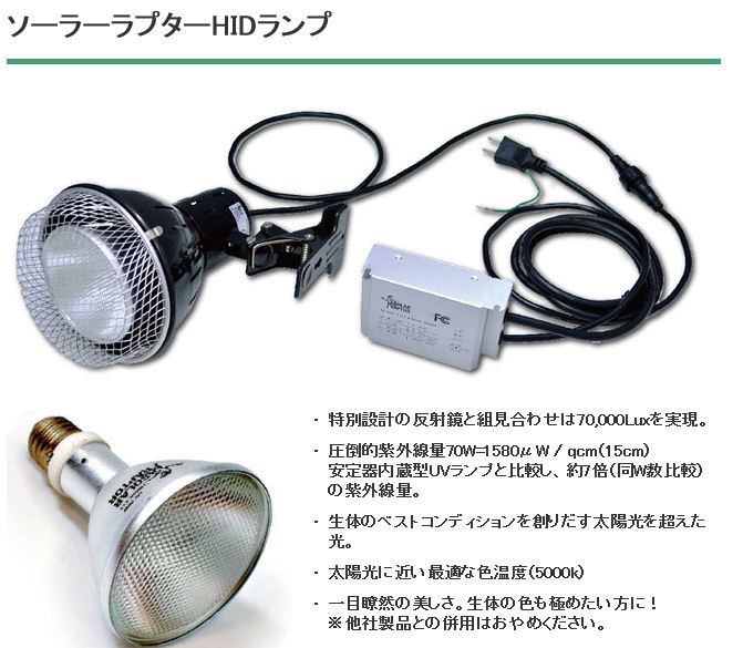 ソーラーラプターHIDランプセット【35w】〔ｾﾞﾝｽｲ〕 | 爬虫類倶楽部