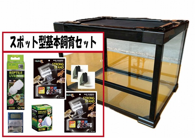 ｼﾝﾌﾟﾙ飼育ｾｯﾄ【60×45×45】 | 爬虫類倶楽部