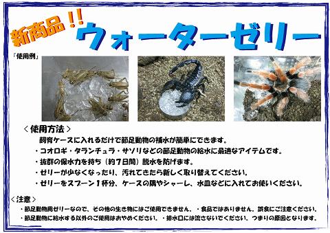 昆虫の保水ゼリー【ウォーターゼリー】 | 爬虫類倶楽部