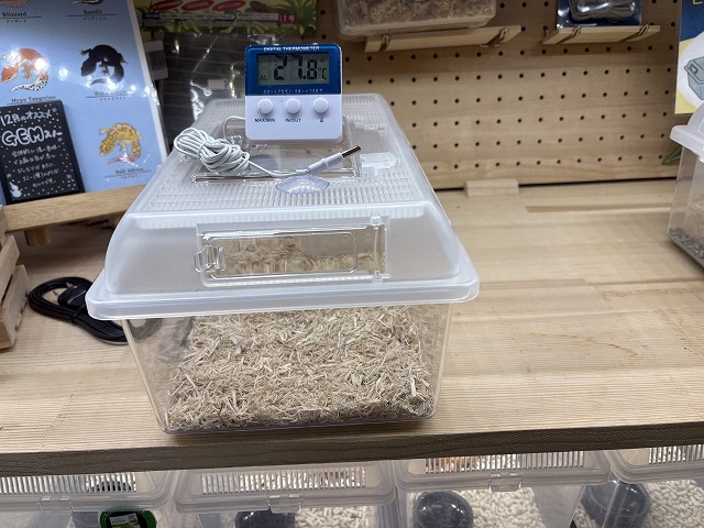 ﾍﾋﾞ飼育ｾｯﾄ【ﾌﾟﾗｹｰｽｾｯﾄ】『ﾊﾟﾈﾙﾋｰﾀｰ付』【大宮店仕様】 | 爬虫類倶楽部