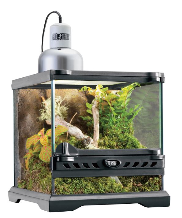 ライトドーム ナノ 〔ｴｷｿﾞﾃﾗ〕 | 爬虫類倶楽部