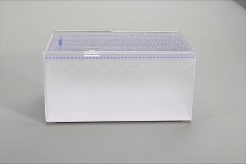 ハチクラ監修 プレミアムレプタイルケース 300×200×150mmサイズ
