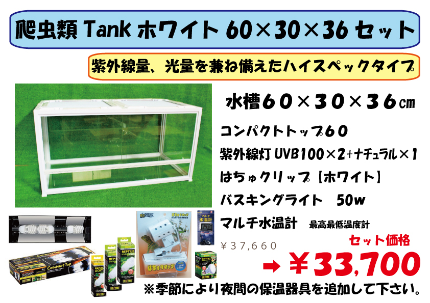 ホワイトタンク飼育セット 【60×30×36】 | 爬虫類倶楽部