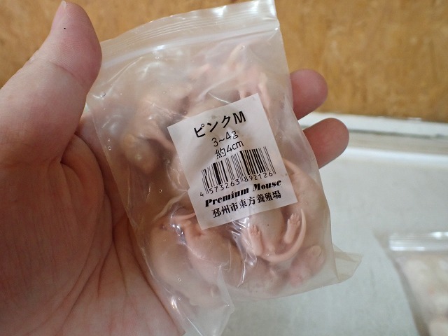 プレミアム冷凍マウス】 ピンクマウス 【10匹入り】 『冷凍品の為送料