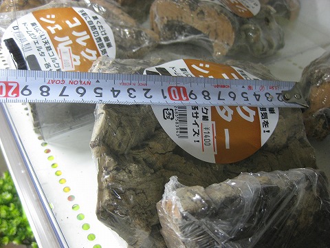 コルクシェルター 【Mサイズ】 | 爬虫類倶楽部