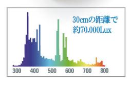 ソーラーラプターHIDランプセット【50w】〔ｾﾞﾝｽｲ〕 | 爬虫類倶楽部