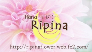 Hana Ripina～花りぴな～