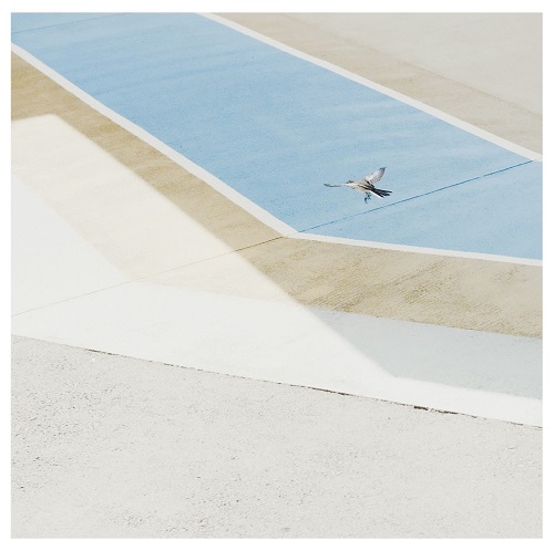 グソクムズ - グソクムズ (LP analog vinyl record アナログレコード