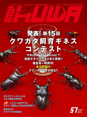 ビークワ BEKUWA 1〜87号 BEKUWA ビークワ 1号 中国ホペイ大特集｜昆虫