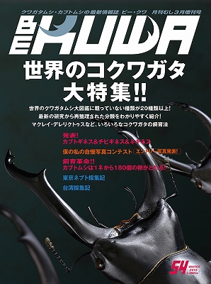 BE-KUWA 54号 | □H.R.N.dorcus□