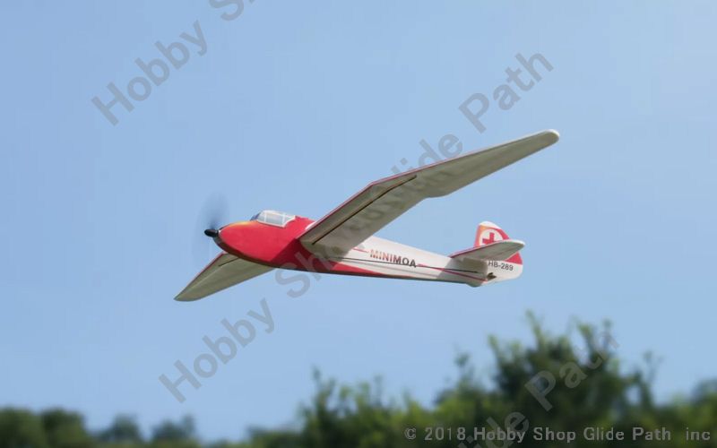MinimumRC minimoa Glider 超軽量1セルブラシ機 | ホビーショップ