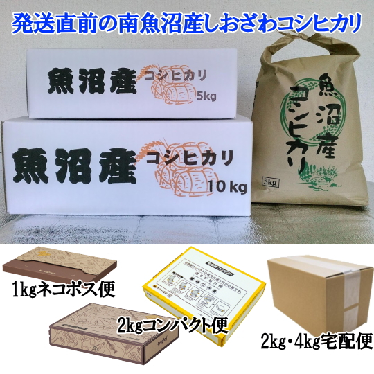 南魚沼塩沢コシヒカリ玄米20kg(10k×2)令和5年産 | 志田農園南魚沼産