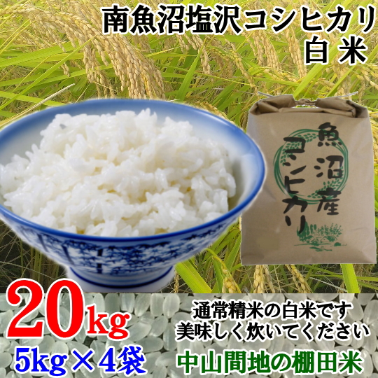 食品コシヒカリ白米20キロ