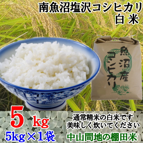 南魚沼塩沢コシヒカリ白米5kg(5k×1)令和5年産 | 志田農園南魚沼産