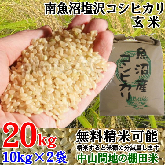 新米令和5年産魚沼コシヒカリ玄米20kg(10kg×2) - 米
