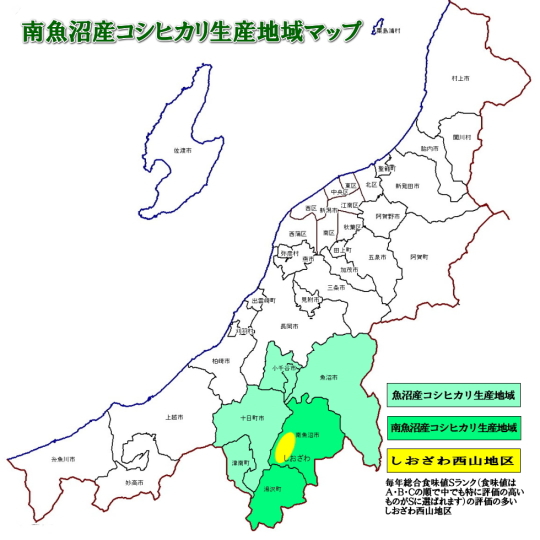 南魚沼産コシヒカリしおざわ西山地区　令和３年産精米10kg 1_840a4c46-6069-4cd5-bc2f-