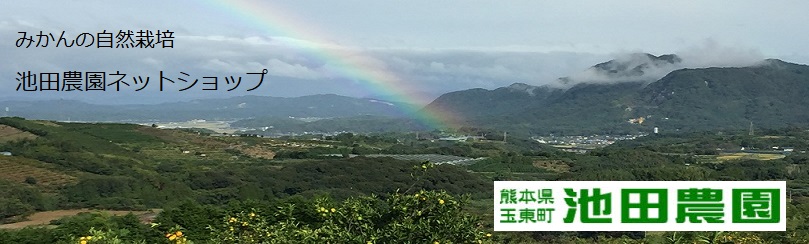 青みかんパウダー | ーみかんの自然栽培ー 池田農園ネットショップ