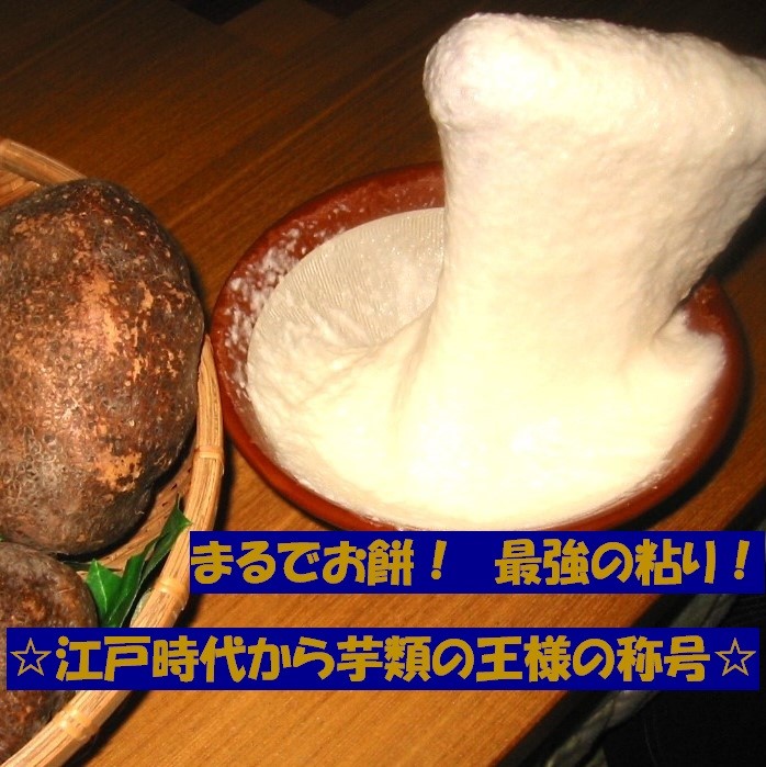 新芋 特選 大玉 5個 お得セット 2.3キロ 丹波山の芋 山芋 とろろ