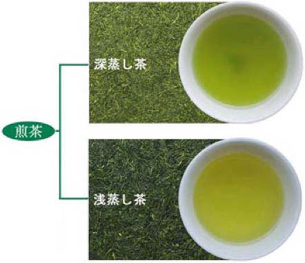 本格派】深蒸し煎茶ティーパック≪しら菊≫5g×100p | お茶