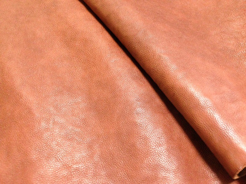 ダコタ調★ナチュラル★ソフトヌメ革★75～80ds★№240 最大39倍 11日2時迄 ダコタ限定革小物+選べるノベルティ ダコタ ショルダーバッグ レディース 斜めがけバッグ ブランド Dakota 大人  40代 30代 小さめ ミニショルダー 軽量 おしゃれ かわいい 綿 本革 フェリチッタ 1531592 新作 2024 | ギャレリア