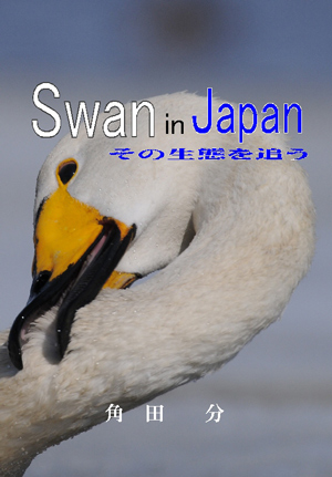 Swan in Japan～その生態を追う～
