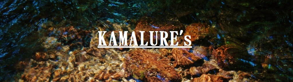 ルアーの商品一覧 | KAMALURE's WEB SHOP