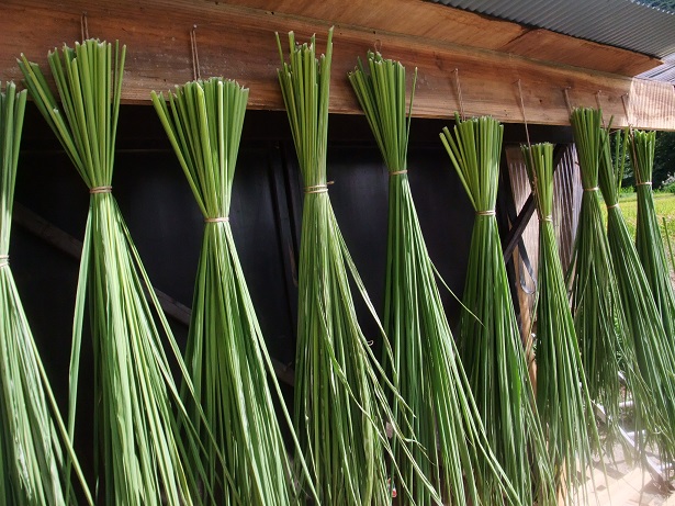 天日干しまこも葉30g（まこも葉茶作成用） | 南木曽みなとや農園の自然