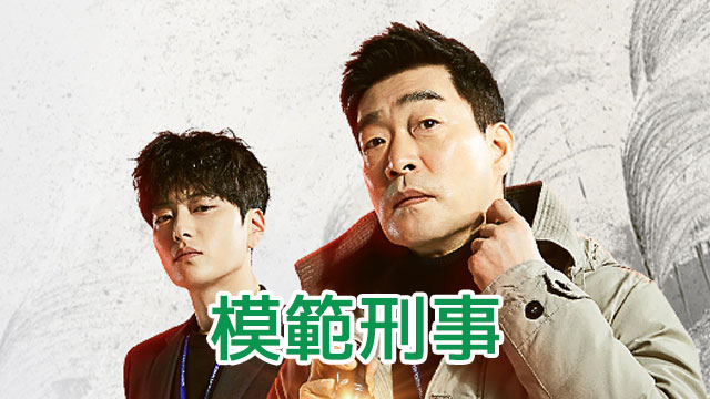 模範刑事 1-13 全13巻　全巻セット　DVD 模範刑事 1-13 全13巻 全巻セット DVD - メルカリ