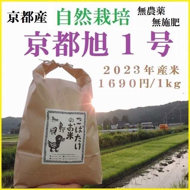 令和3年 菊池産 自然栽培米【旭一号】無農薬無肥料 手植え 手刈り 掛け