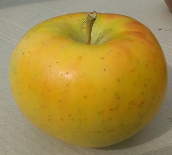 信州・佐久のりんご農家から安全安心なリンゴを産地直送いたします。