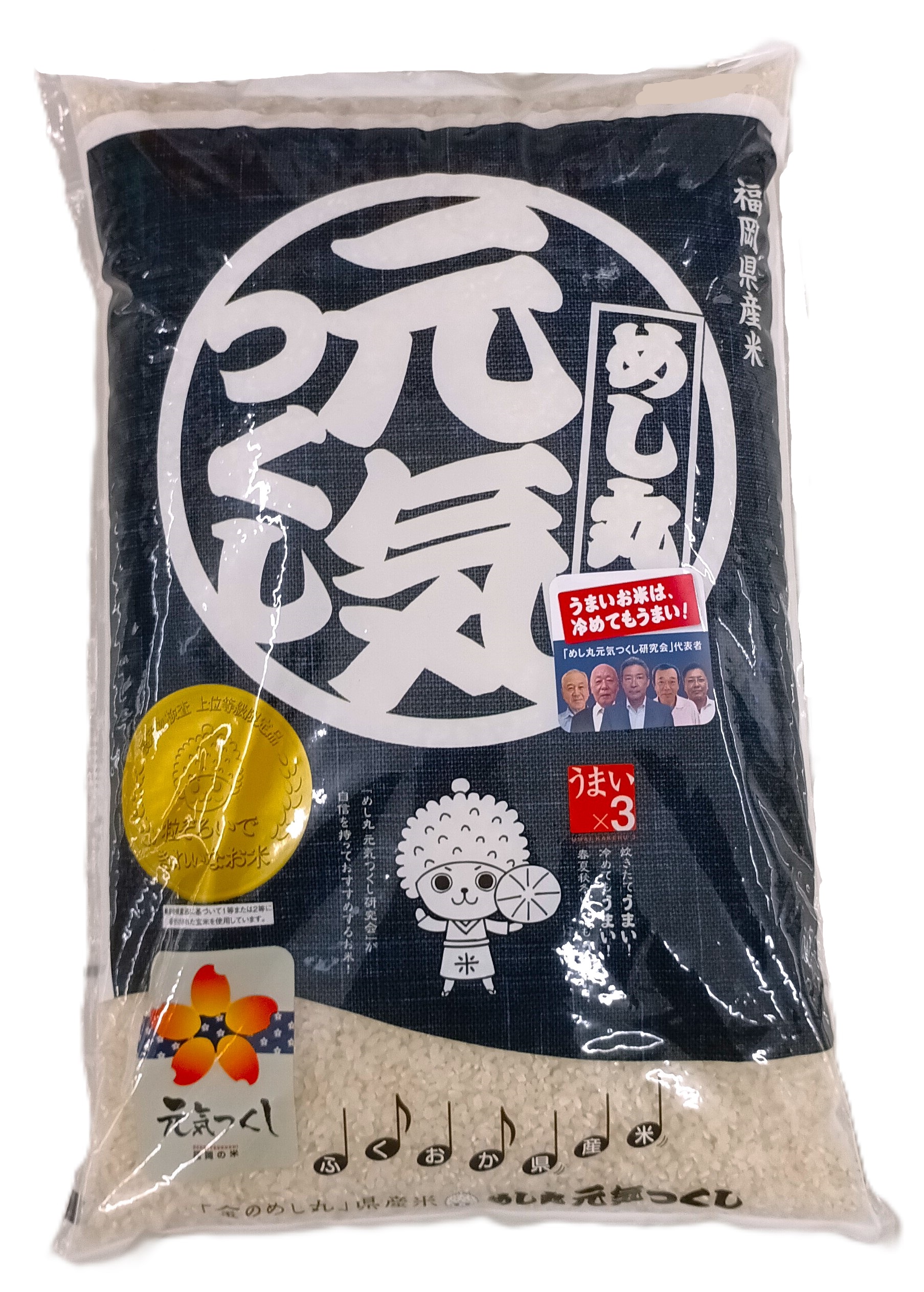 税込）福岡県産 金のめし丸 元気つくし（白米）5kg 令和7年産 | 米