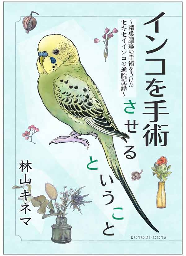 インコを手術させるということ | ことり御屋