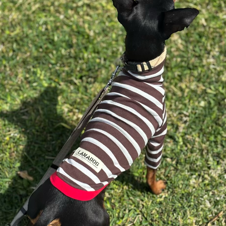 クリックで画像を表示