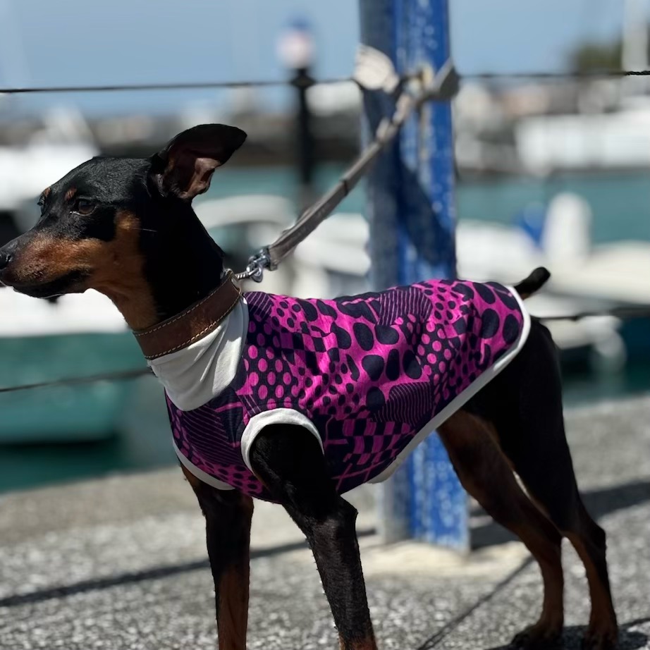 クリックで画像を表示