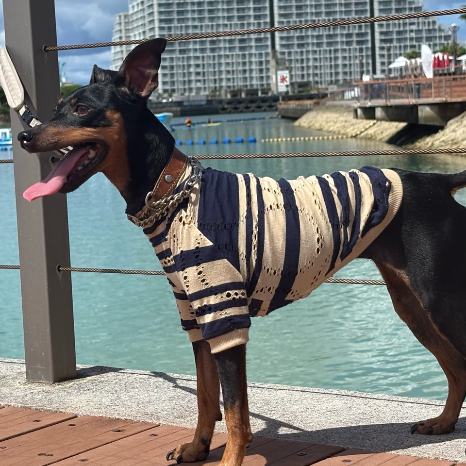 クリックで画像を表示