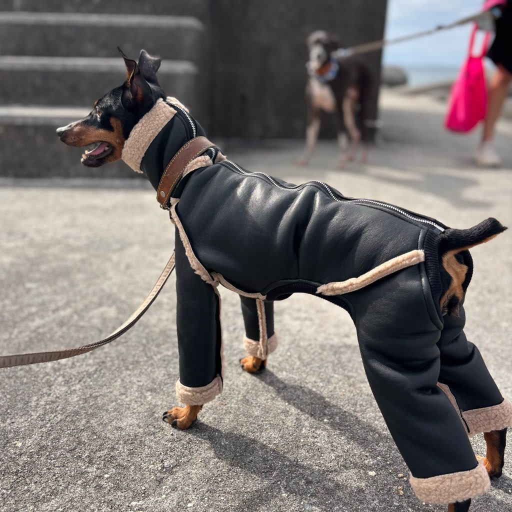 クリックで画像を表示