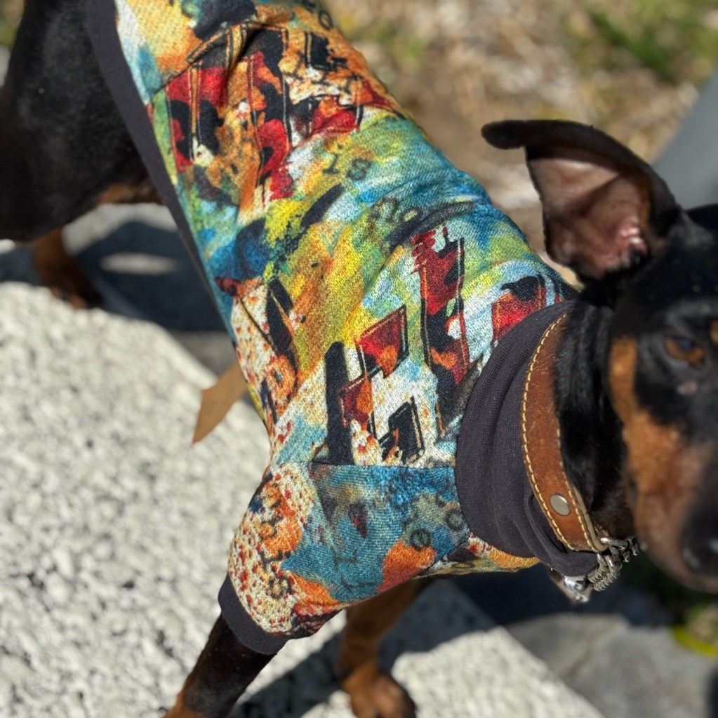 クリックで画像を表示