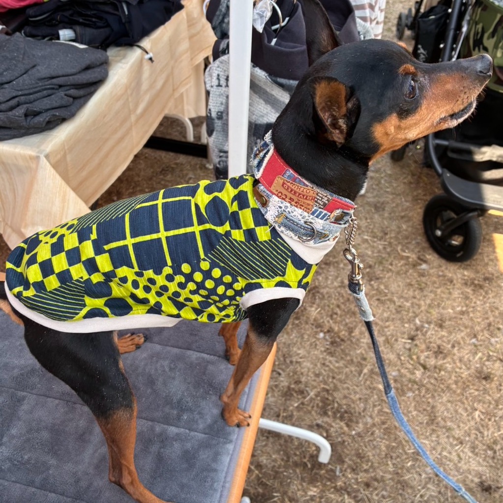 クリックで画像を表示