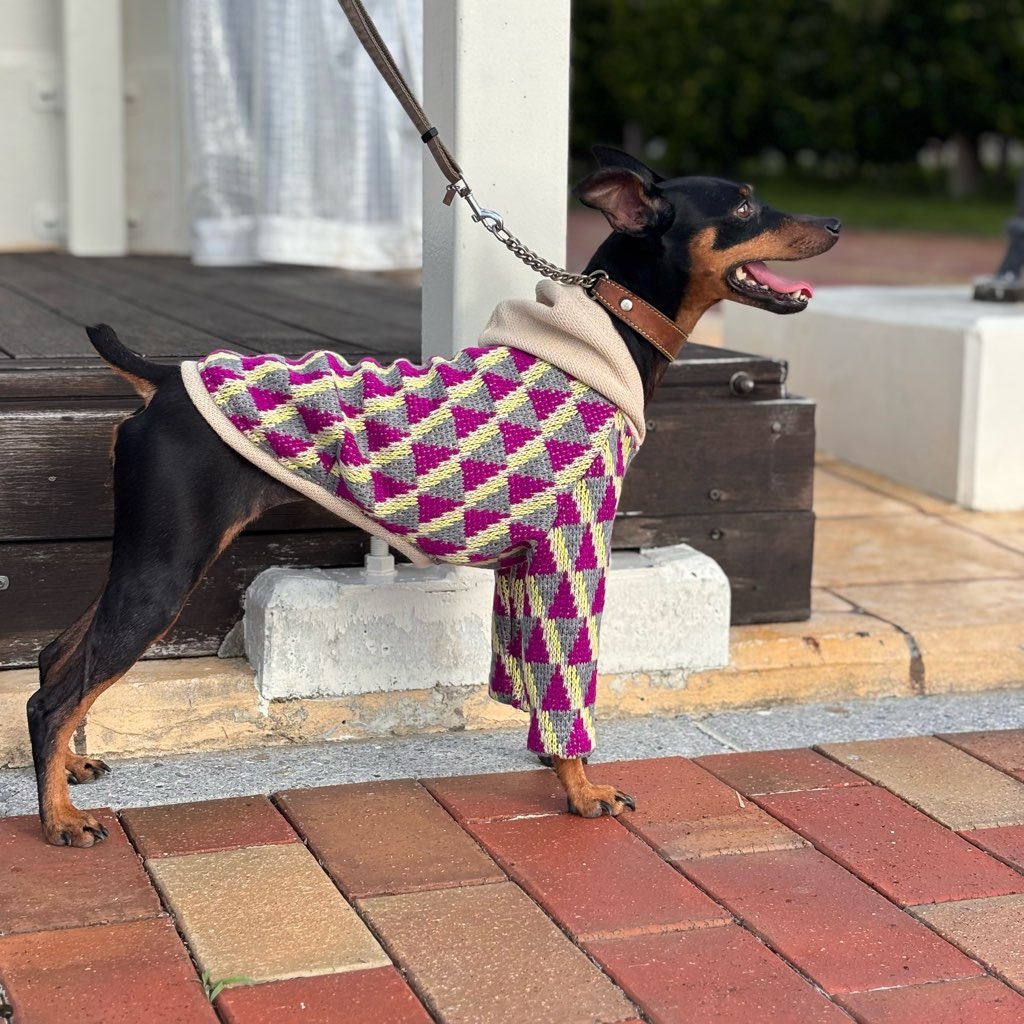 クリックで画像を表示