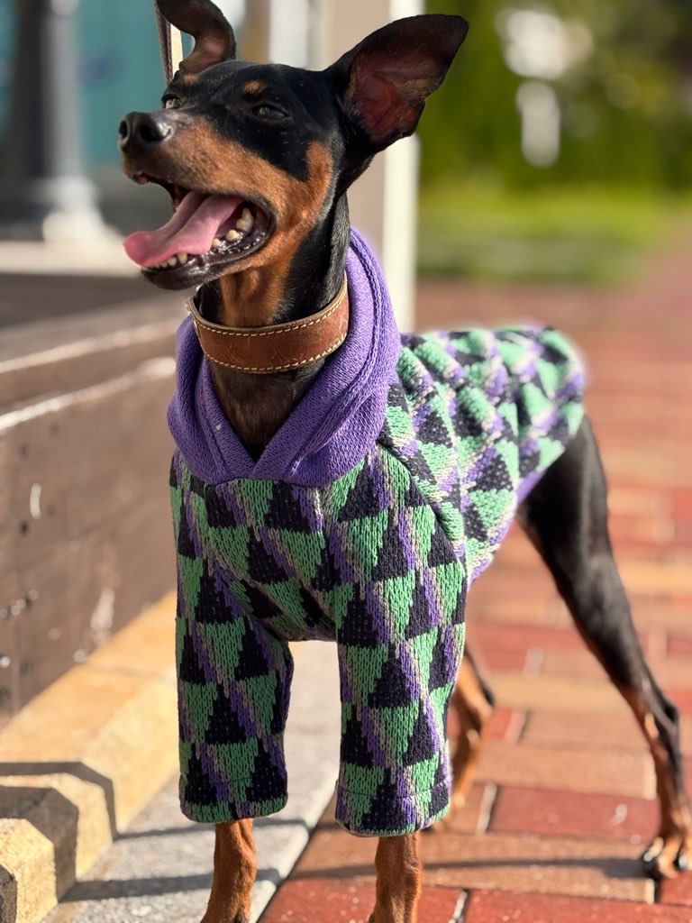 クリックで画像を表示