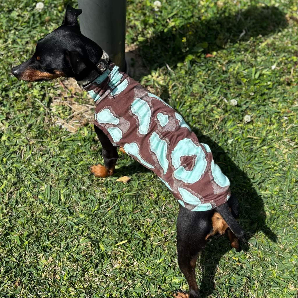 クリックで画像を表示