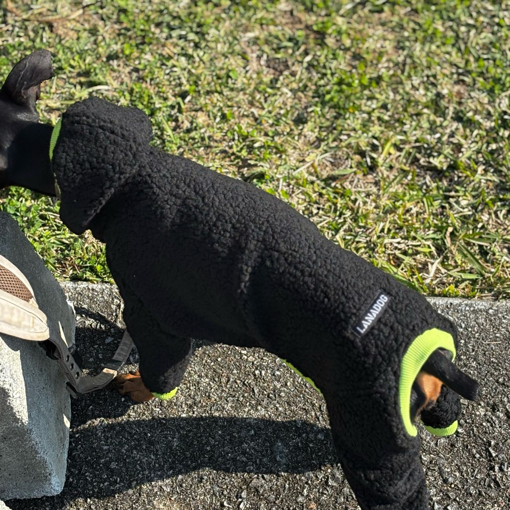 クリックで画像を表示