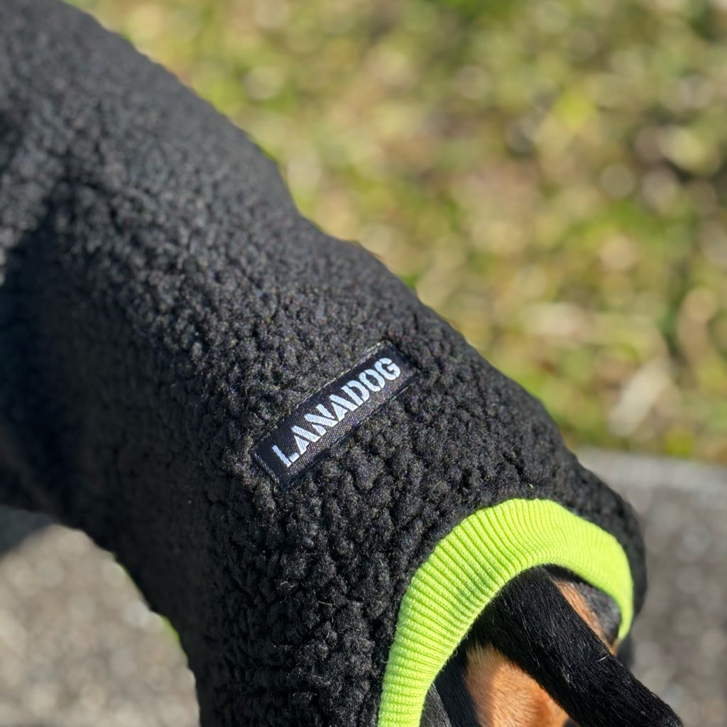 クリックで画像を表示